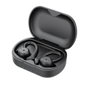 Earphones